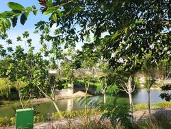 Blk 308B Punggol Walk (Punggol), HDB 4 Rooms #463101551